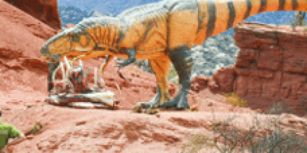 Parque-Geológico,-en-Sanagasa.