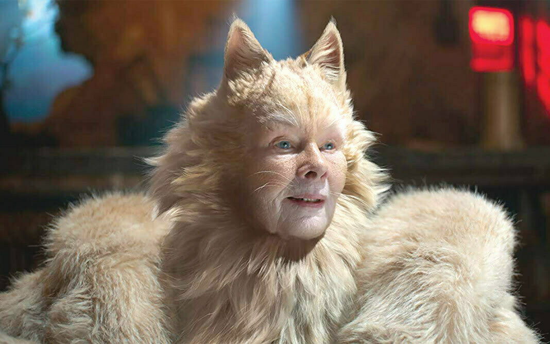 YO VI ENERO 20- CATS_PORTADA
