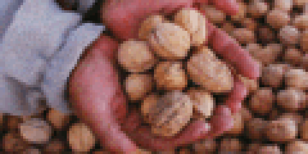foto-3