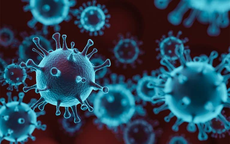 El ABC del coronavirus