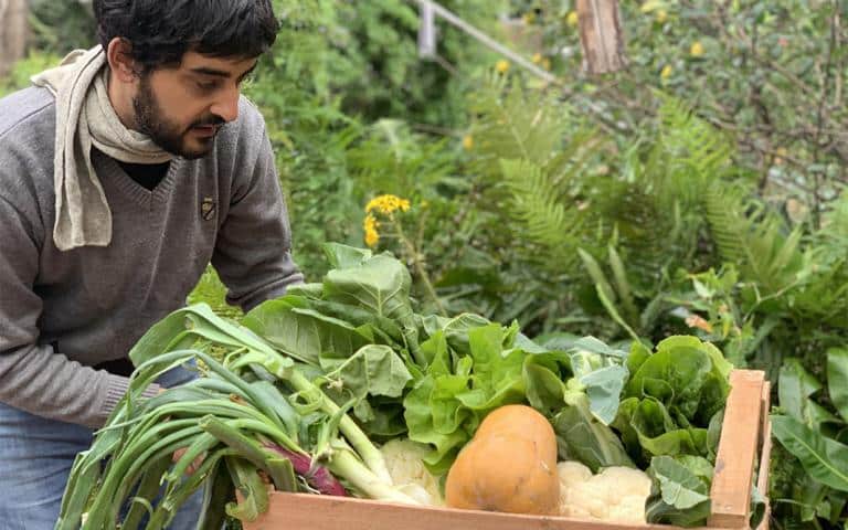 Actividades para los ecologistas en casa