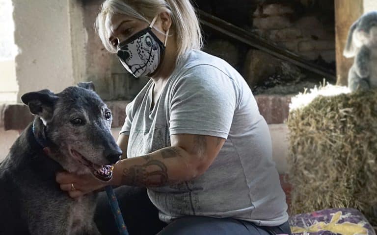 Adopción responsable