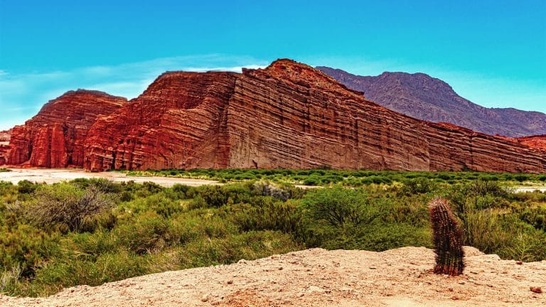 CAFAYATE: ENTRE MONTAÑAS, VIÑEDOS Y CARDONES