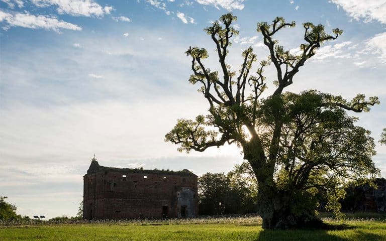 Carmelo: La naturaleza al alcance de la mano