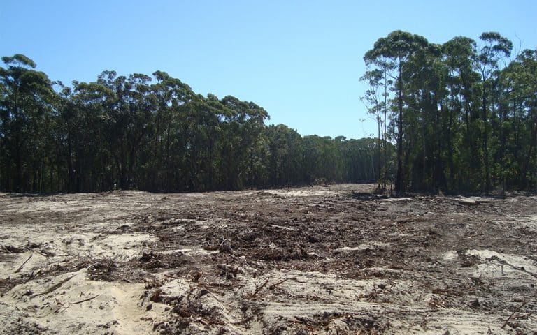 La Argentina enfrenta al cambio climático