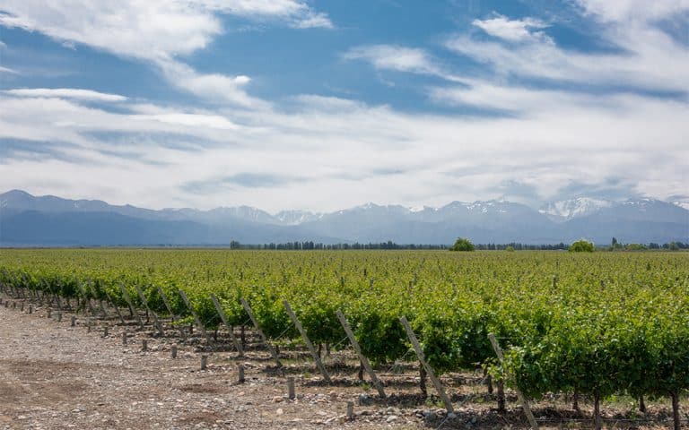 El Valle de Uco: La exaltación de los sentidos