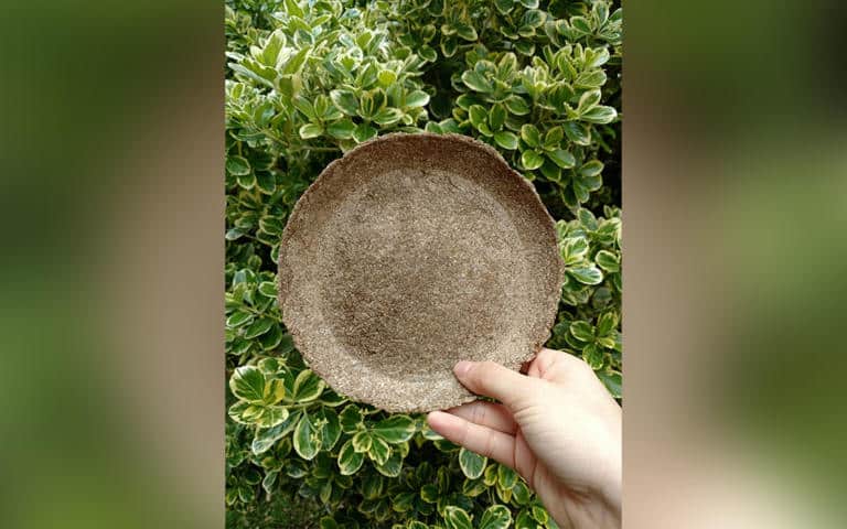 El boom de los biomateriales en la Argentina