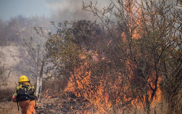 El cambio climático y el mundo en llamas