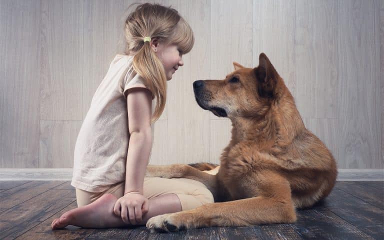 El lenguaje de los perros