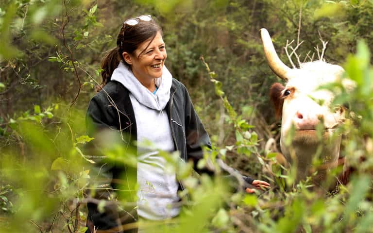 El tiempo de los santuarios de animales