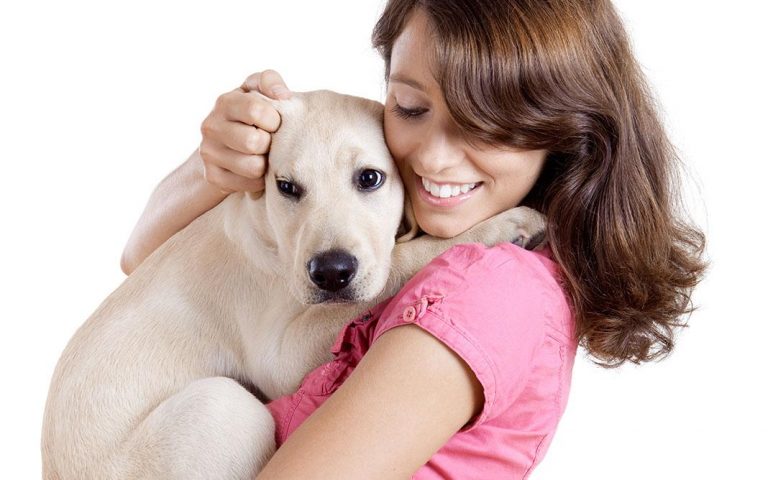 Elegir nuestro perro ideal