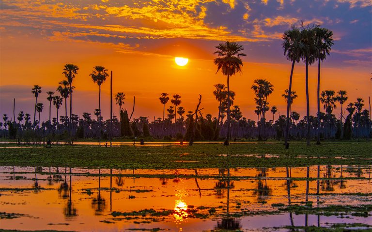 Tesoro virgen en el corazón de Formosa