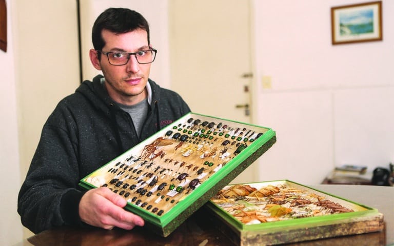 Gastón Zubarán: “Los insectos son maravillosos”