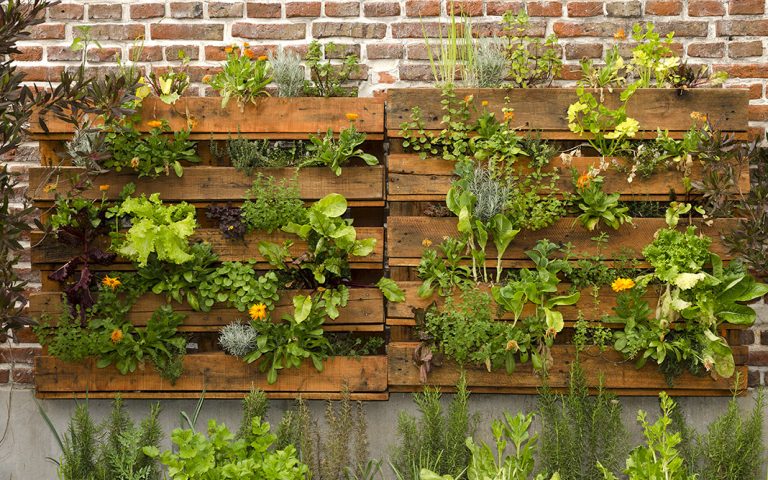 Granjas en las grandes ciudades