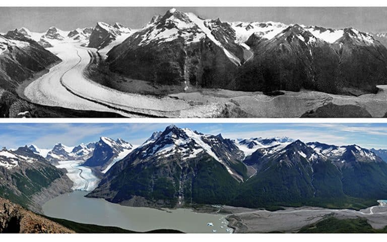 10 curiosidades sobre el medioambiente