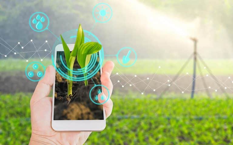 Jardines cuidados con inteligencia