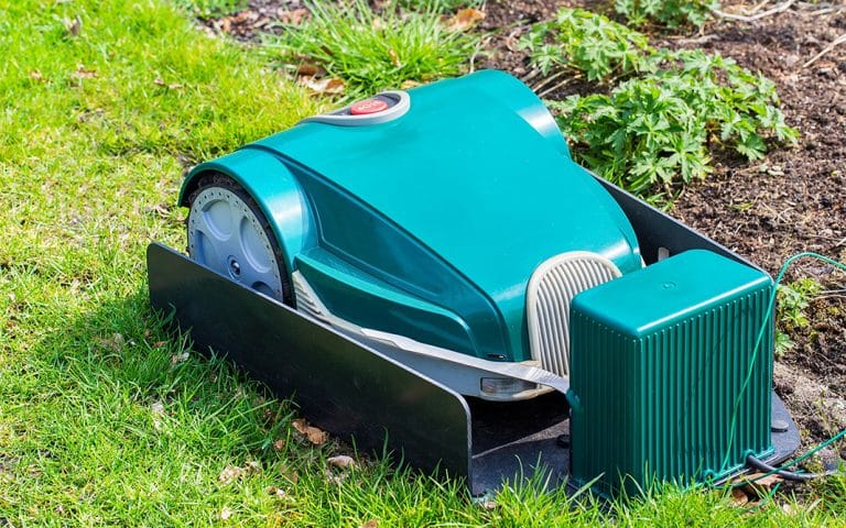 Jardines que se cuidan solos