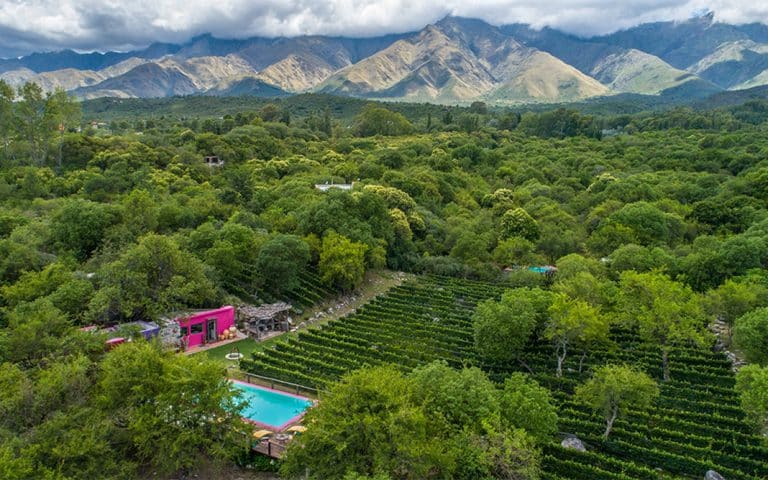 Los caminos del vino cordobés