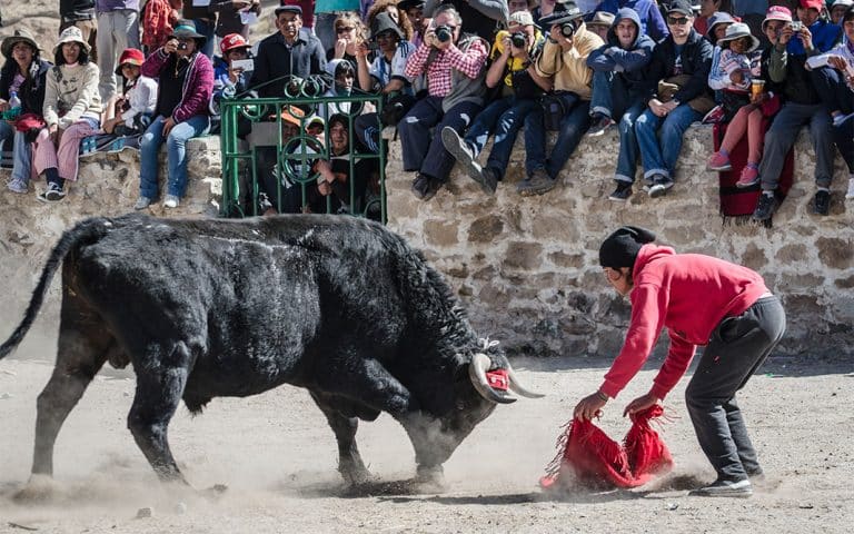 La corrida de la Vincha del Toro