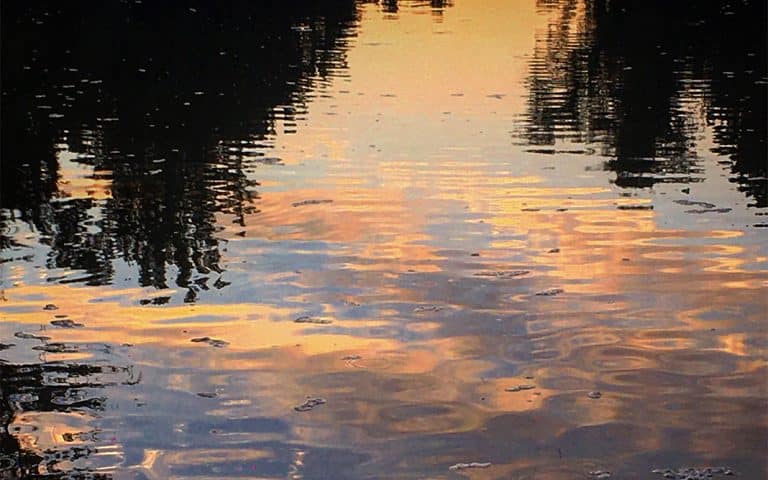 La intimidad del Delta