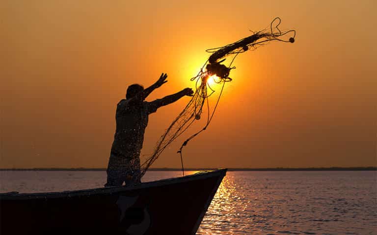 La vida en el mallón