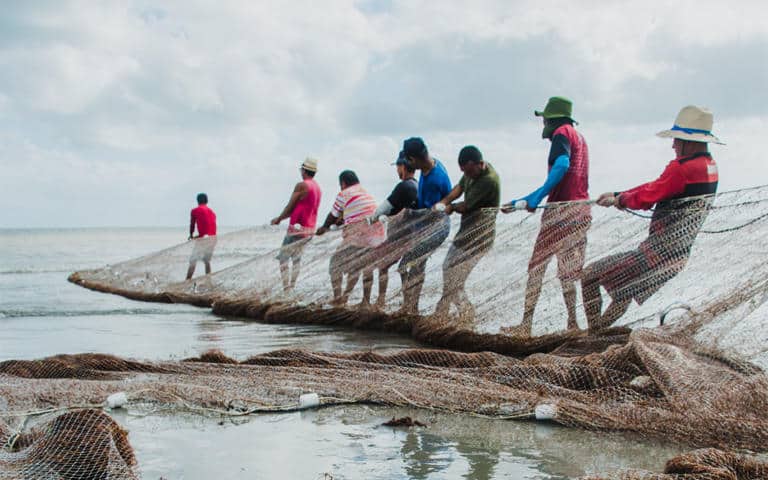 Los pescadores y el paraíso