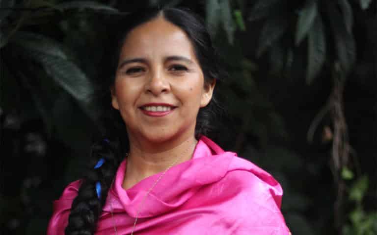 Mariana Carrizo: El despliegue del cóndor