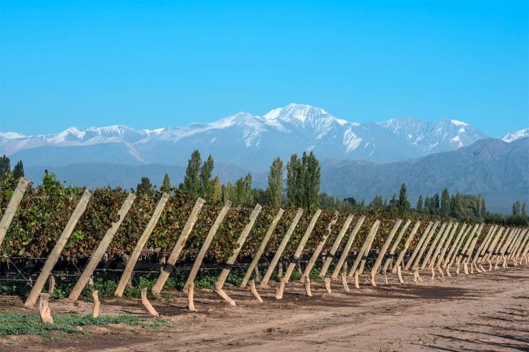Mendoza: Primavera en la tierra del vino