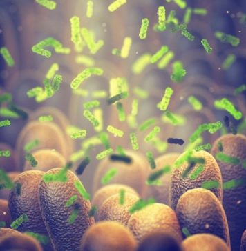 MICROBIOTA-UN-MUNDO-FASCINANTE_PORT