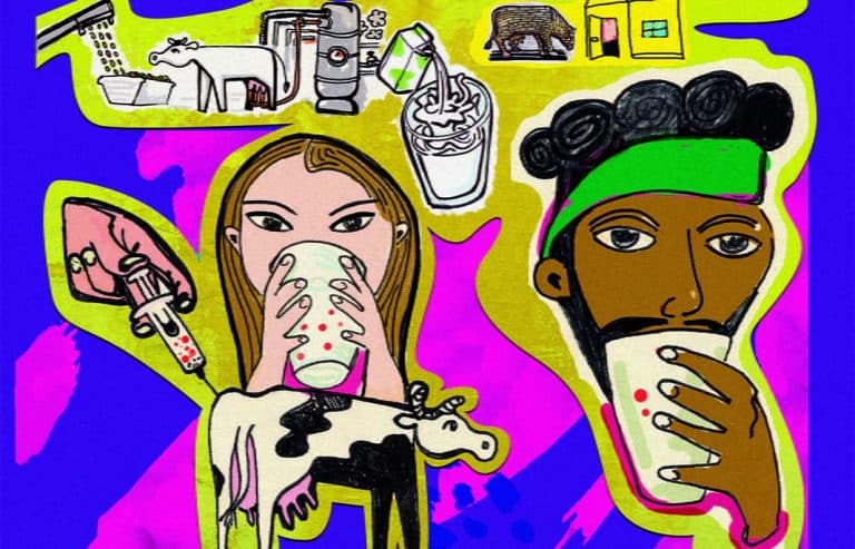 Mitos y verdades sobre el consumo de la leche