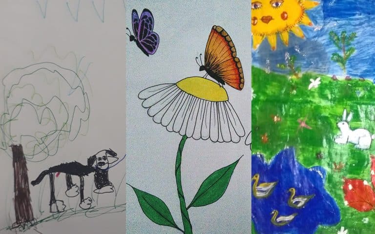 Amor por los animales