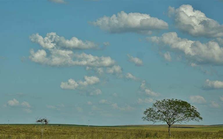 Paisajes en tránsito