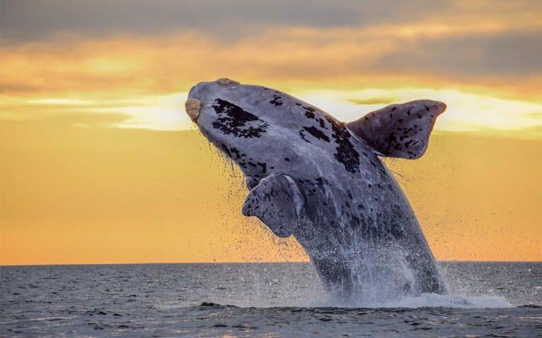 Para dejarse llevar por la naturaleza