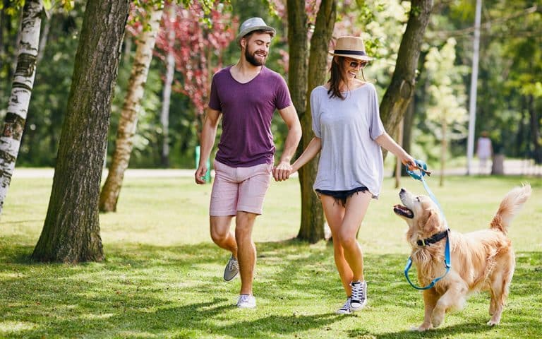 Paseos seguros y agradables