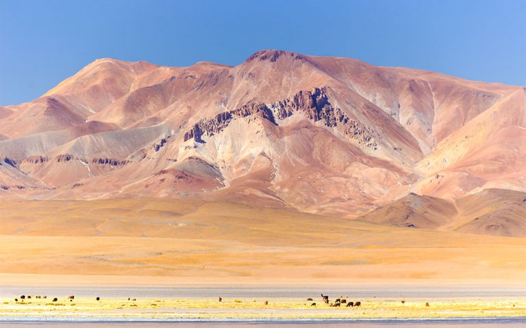 San Pedro de Atacama y el desierto: Un viaje a las estrellas