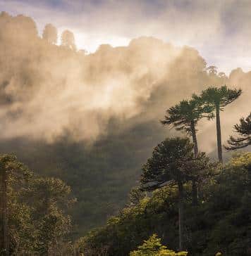 Tierra de colosos y leyendas_PORT
