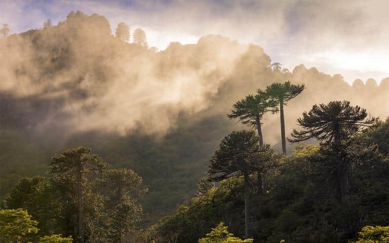 Tierra de colosos y leyendas