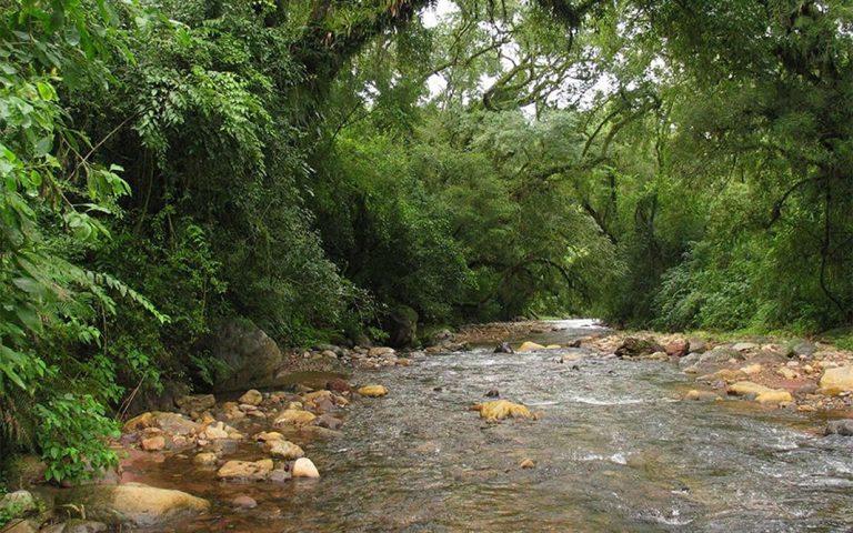 Cómo compensar la huella de carbono