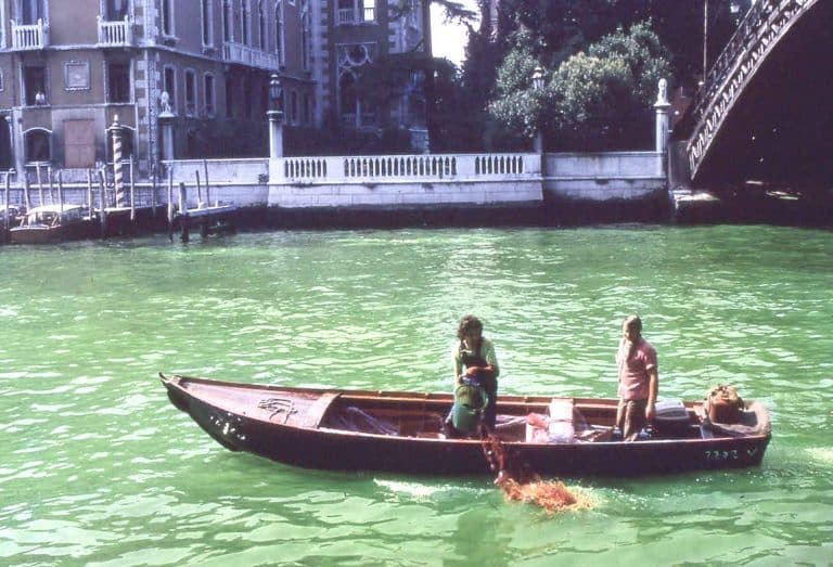 ARTES VISUALES «Venecia en clave verde»