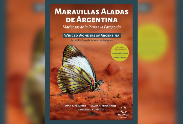 Maravillas aladas de Argentina