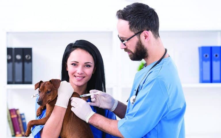 Calendario de vacunación