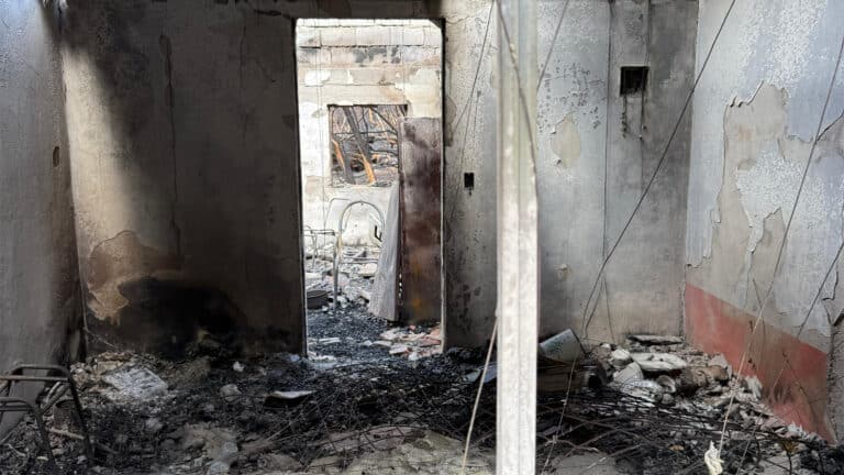 DESPUÉS DEL FUEGO: IMPACTO AMBIENTAL Y RESCATE DE ANIMALES EN EL SUR DEL PAÍS