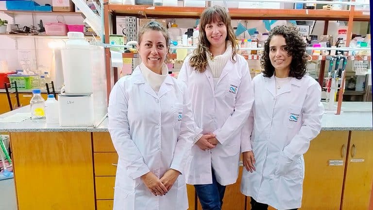 CIENTÍFICOS ARGENTINOS DESARROLLAN UN APÓSITO QUE CURA HERIDAS