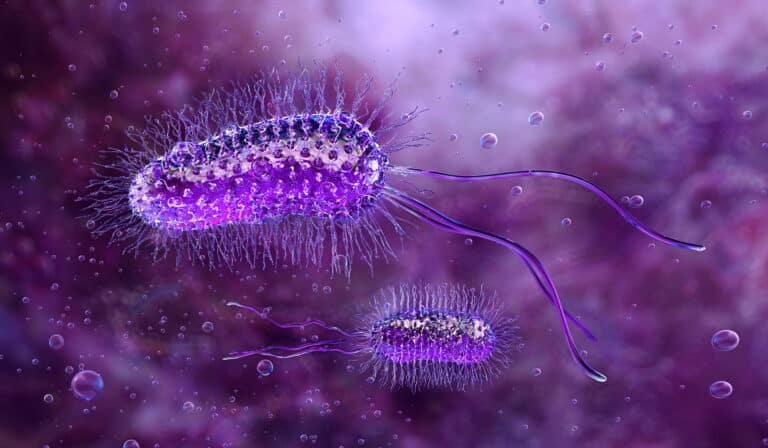 BACTERIA MILENARIA RESISTENTE A ANTIBIÓTICOS MODERNOS: UN HALLAZGO INQUIETANTE EN UNA CUEVA RUMANA