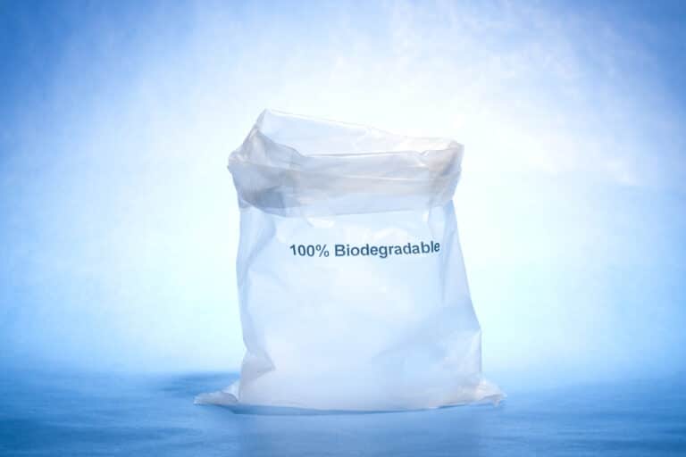 USAN HARINAS Y ALGAS PARA ELABORAR ENVASES BIODEGRADABLES