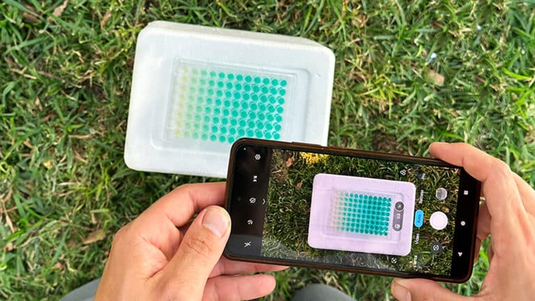 CREAN UN MÉTODO PARA MEDIR FOSFATO CON UN CELULAR Y PODRÍA USARSE EN SALUD Y PRODUCCIÓN AGRÍCOLA