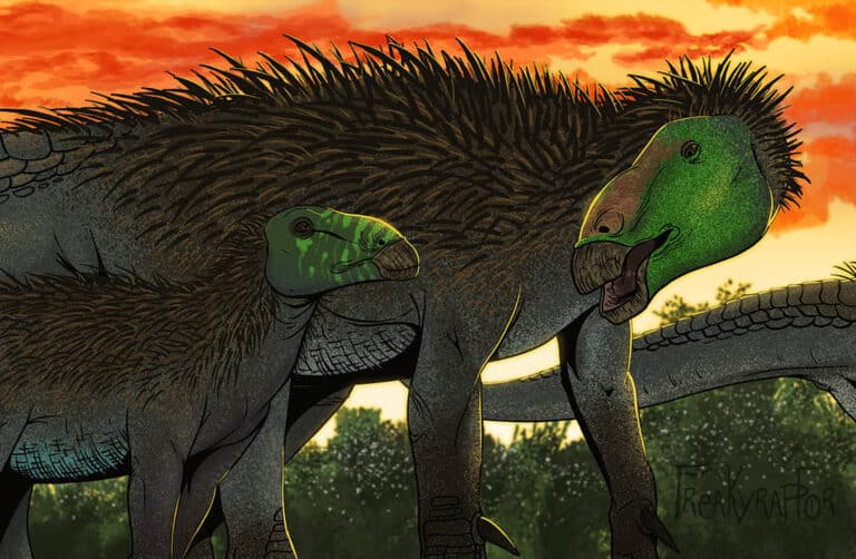 DESCUBREN UN “DRAGÓN ESPINOSO” DE 125 MILLONES DE AÑOS 