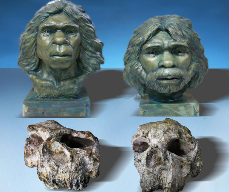 EL ‘HOMO ERECTUS’ LLEGÓ A ASIA 600 000 AÑOS ANTES DE LO QUE SE PENSABA