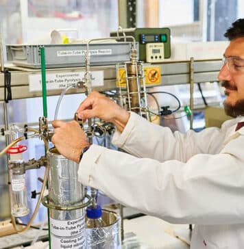 z-yerba mate circular-1